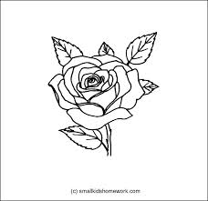 228x221 Outline Flowers Pictures