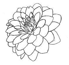 236x221 Line Drawing Of A Flower Free Download Clip Art Free Clip Art