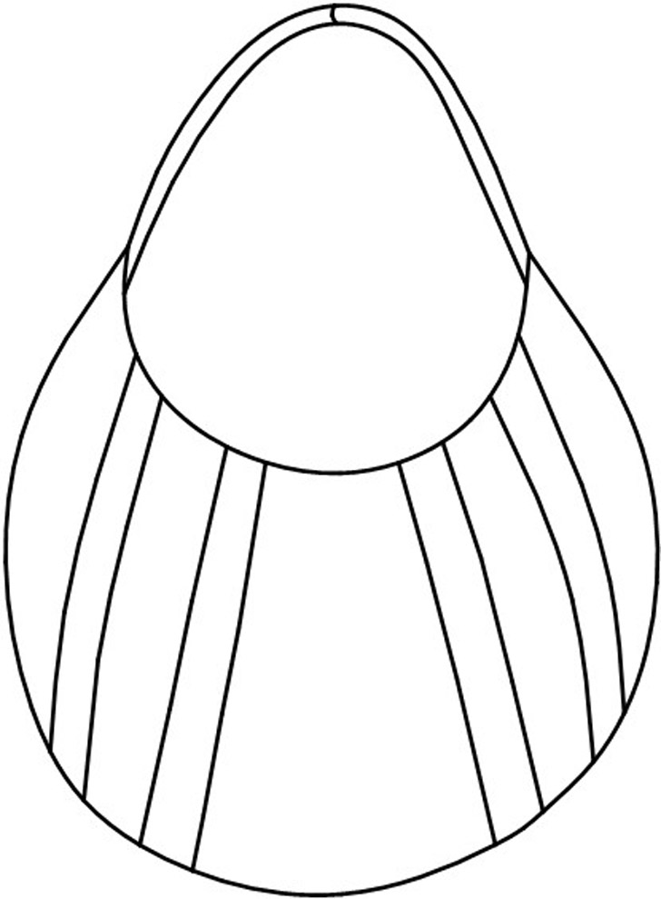 728x989 Purses And Handbags Drawings