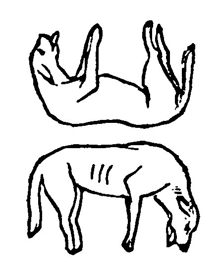 446x553 D E C E P T O L O G Y Two Deceptive 19th Century Puzzles