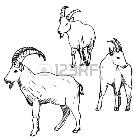 450x450 Goat Pen Stock Photos. Royalty Free Business Images