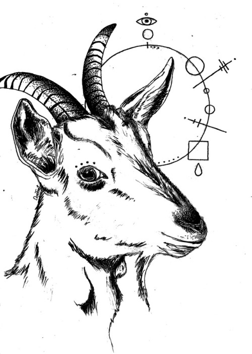 500x702 Pencil Drawing Goat Tumblr