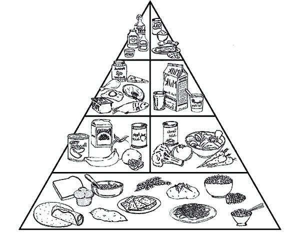 600x484 Healthy Food Coloring Pages Spectacular Food Pyramid Coloring