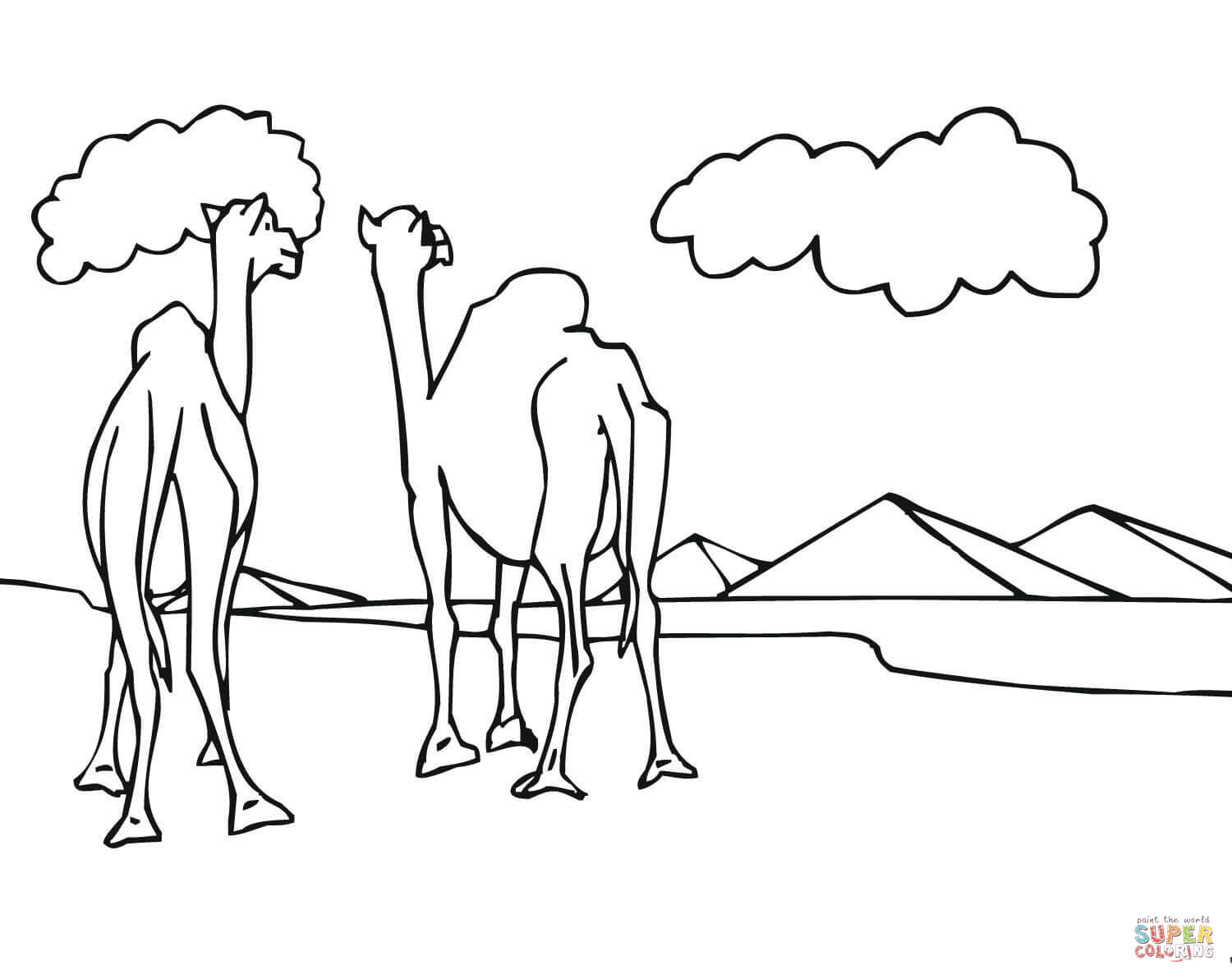 1500x1192 Two Camels Look