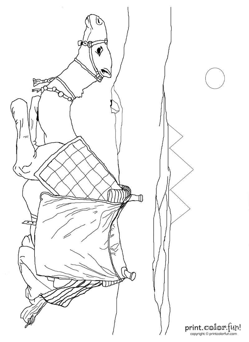 800x1100 Camel And Egyptian Pyramids Coloring Page