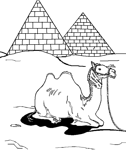 537x640 Coloring A Camel In Front Of Two Pyramids Picture