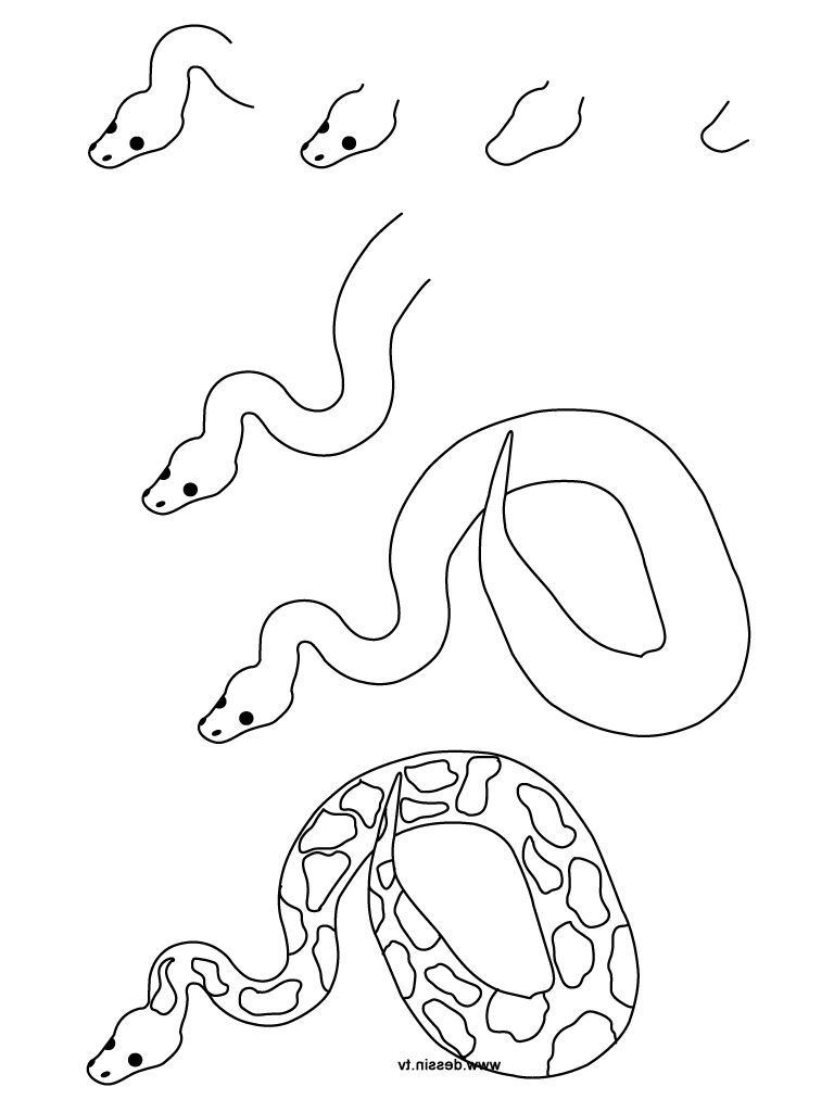 768x1024 Snake Drawings Step By Step