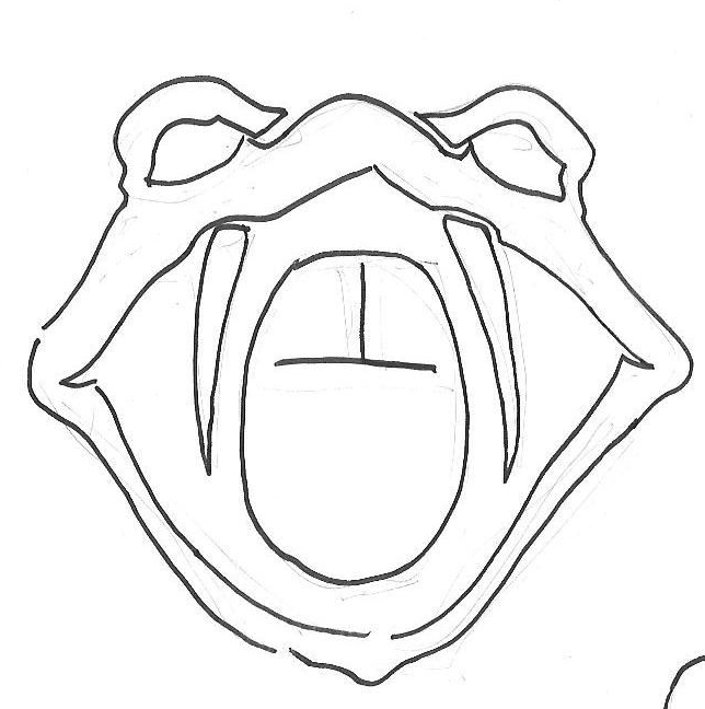 644x648 The Story Of The Logo(S) The Mouse Vs. The Python