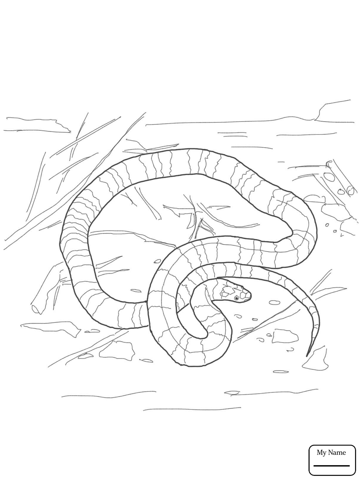 Python Snake Drawing at GetDrawings.com | Free for ...