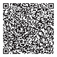 228x228 Qr Code Examples
