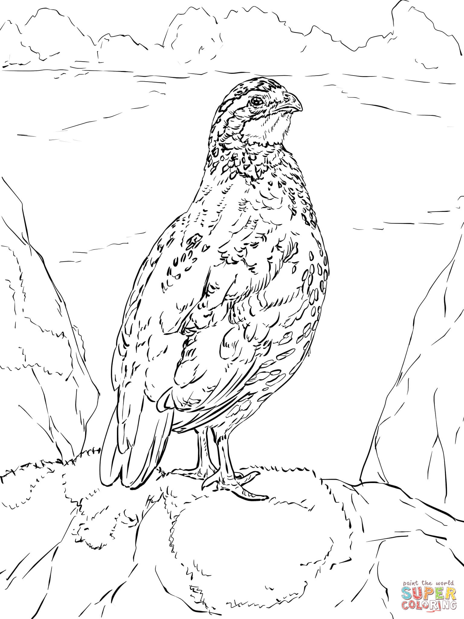 1536x2048 Quails Coloring Pages Free Coloring Pages