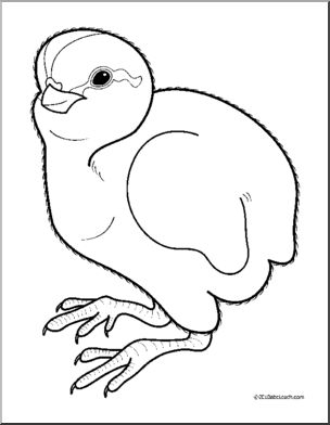 304x392 Clip Art Baby Animals Quail Cheeper (Coloring Page) I Abcteach