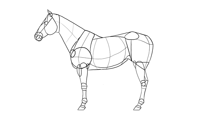 700x391 How To Draw Horses Step By Step Instructions