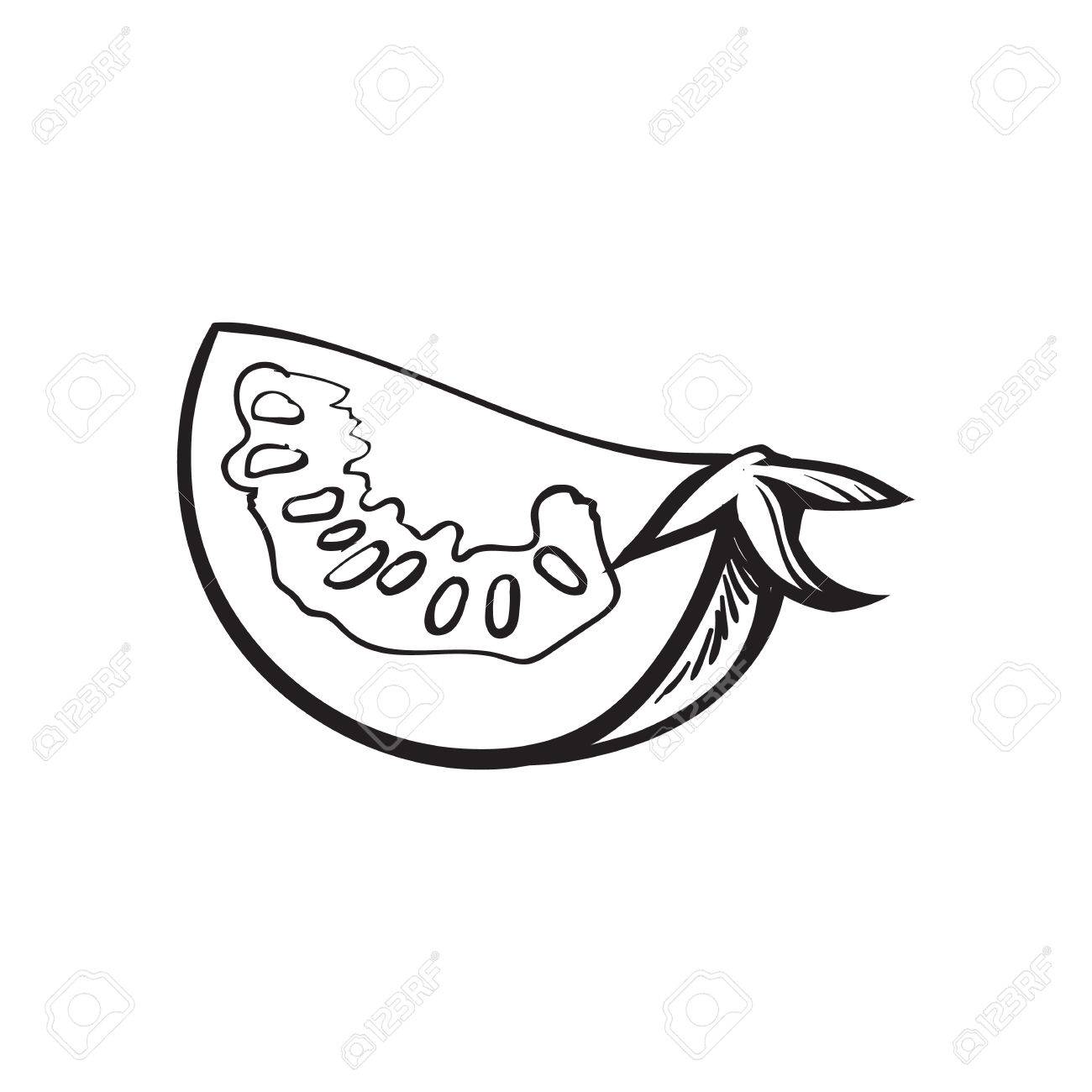 1300x1300 Sketch Style Drawing Of Ripe Tomato Slice, Vector Illustration