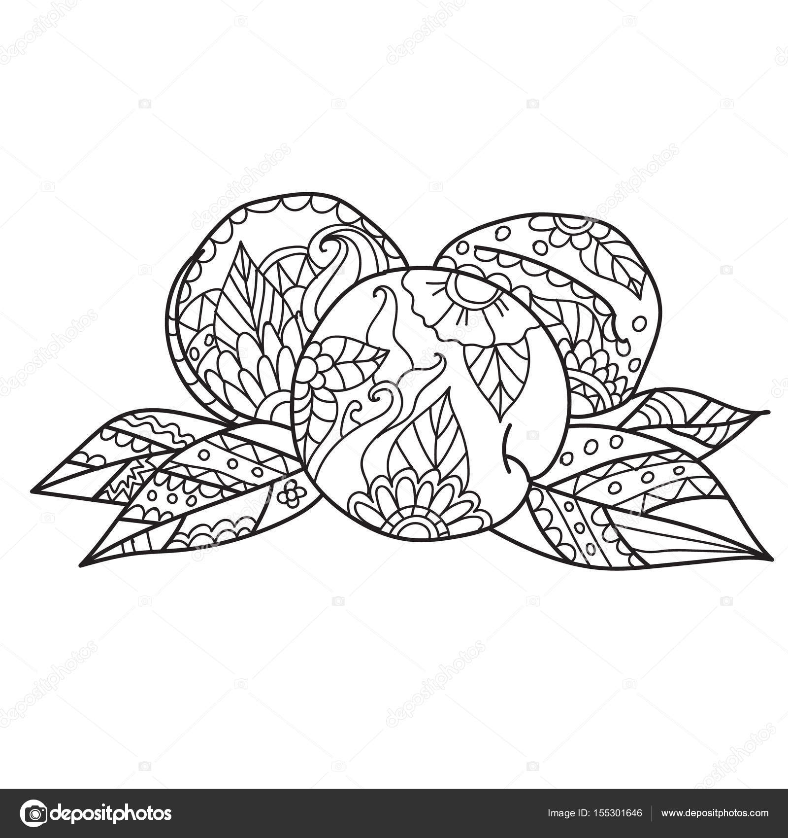 1600x1700 Coloring Pages For Adults.hand Drawn Sketch Style Peach. Ripe