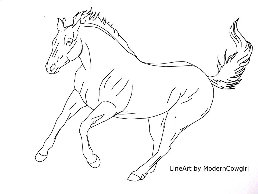 900x675 Freelineart Quarter Horse By Moderncowgirl