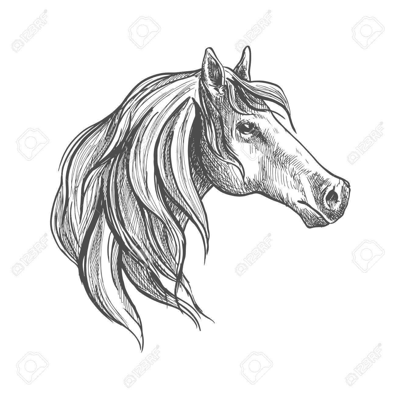 1300x1300 Powerful American Quarter Stallion With Refined Profile And Long