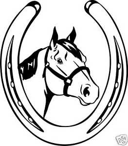 263x300 Quarter Horse Head Shoe Equestrian Trailer Decal 10.8 Ebay