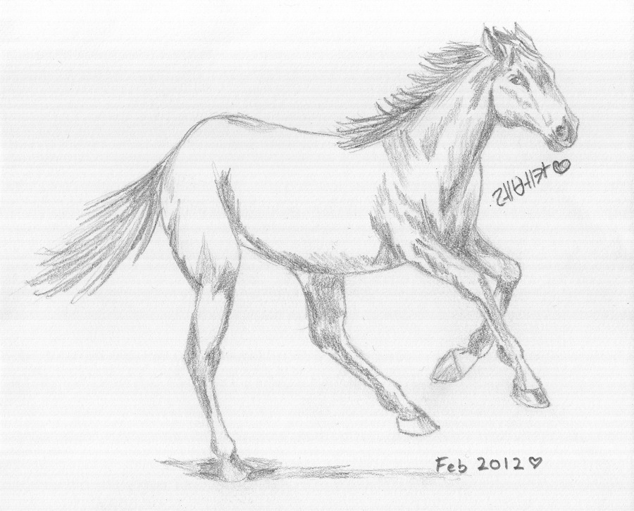 900x726 Running Quarter Horse By Bbchild