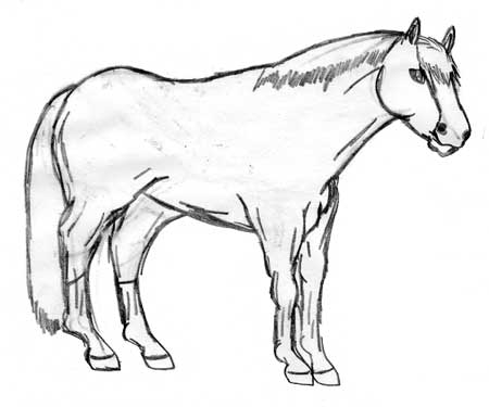 450x375 The Last Horse Camp For Kids