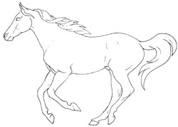 250x179 The Trail Of Painted Ponies Official Site Best Online Shopping