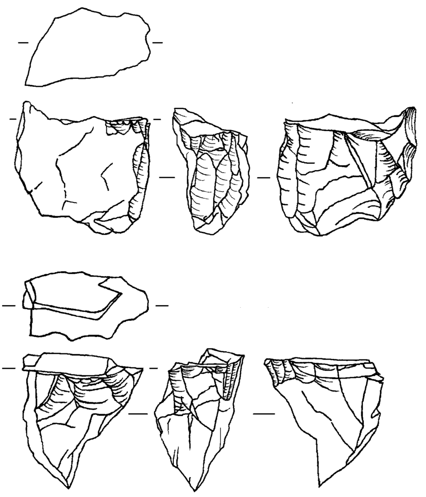 850x990 Microblade Core Of Quartz From Area 3