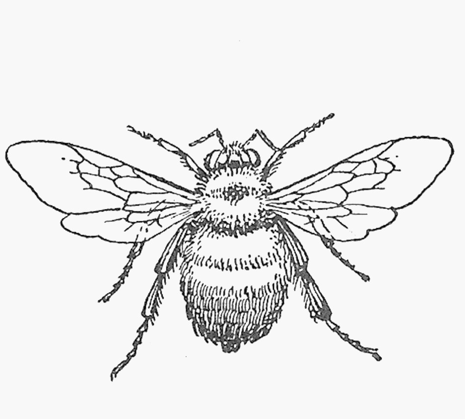 947x852 Queen Bee Cottage French Document Fabric Shrinky Dink Prj