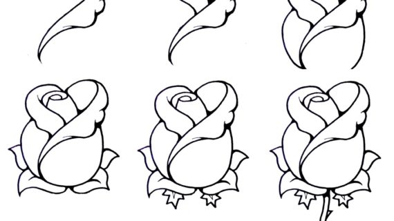 570x320 How To Draw A Rose Step By Step Easy Wildflower Sketches