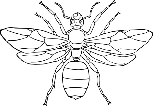 600x416 Queen Ant Clip Art Free Vector In Open Office Drawing Svg ( Svg