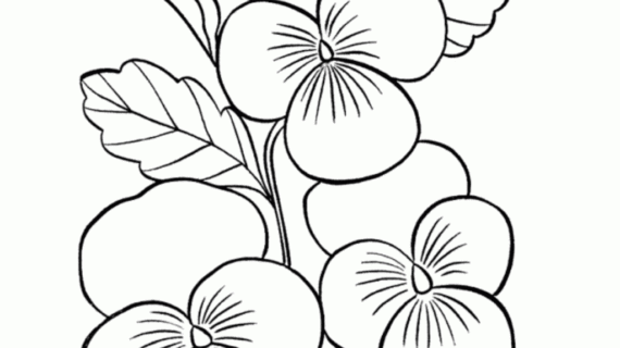 570x320 Simple Drawing Of Flowers How Do You Draw Flowers Art Questions