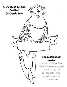 236x305 Quetzal, Bird Of Paradise. This Will Be Gorgeous When Coloured