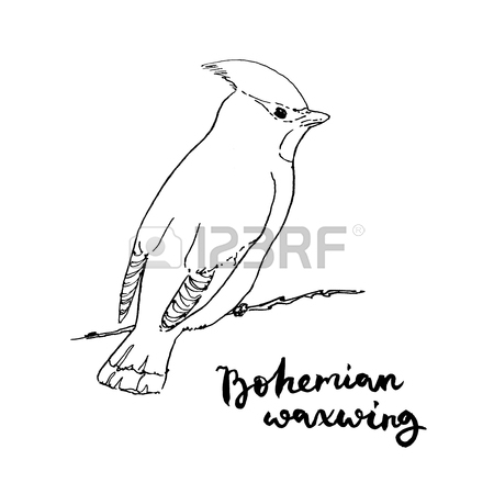 450x450 Bird Sparrow Pictures Images Amp Stock Pictures. Royalty Free Bird