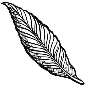 300x300 91 Feather Free Clipart Public Domain Vectors