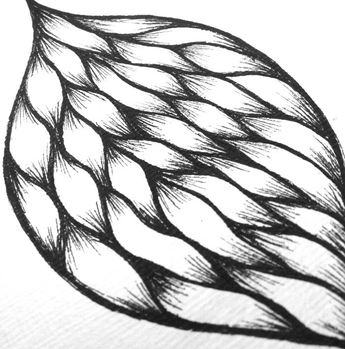 700x707 Artist Melissa Carey