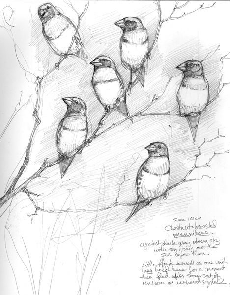 468x600 Wednesday Art