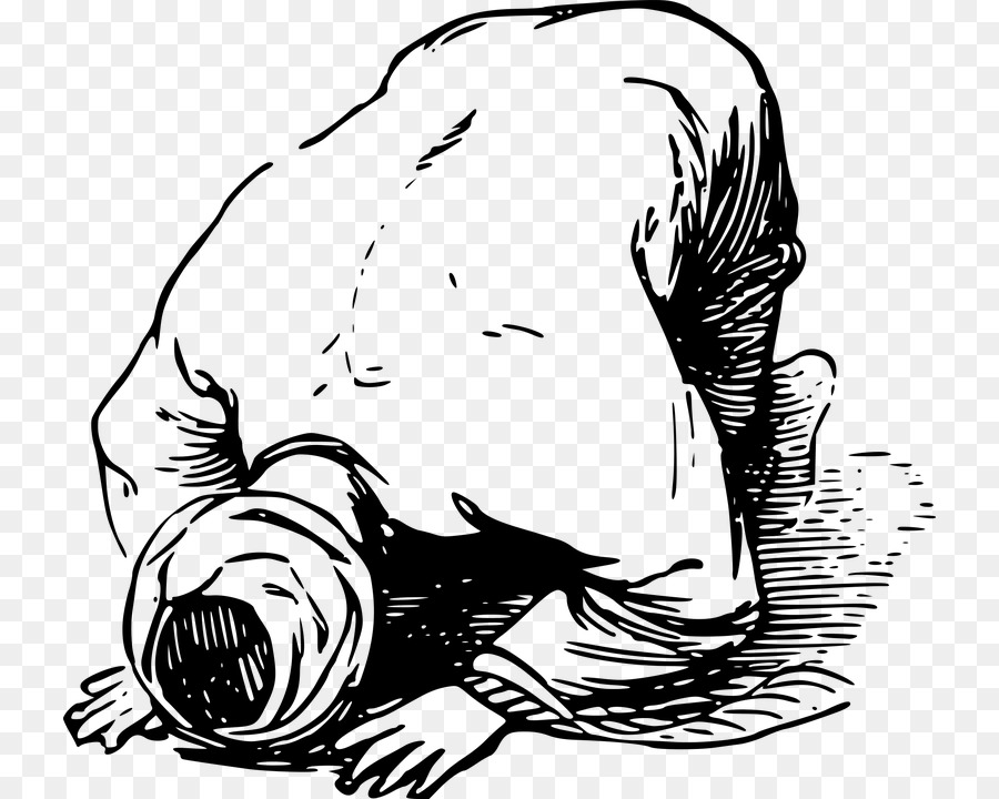 900x720 Islam Muslim Prayer Salah Quran