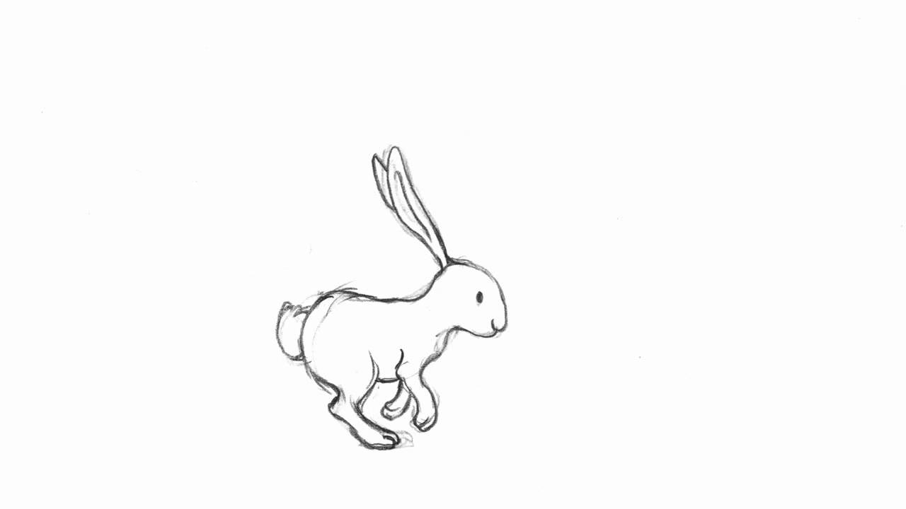 1280x720 Running Rabbit