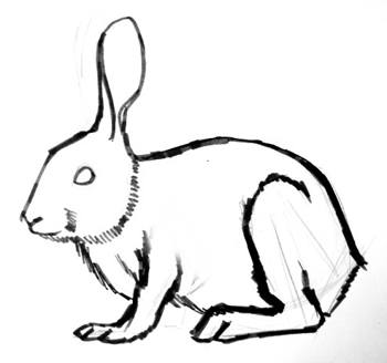 350x328 How To Draw A Rabbit