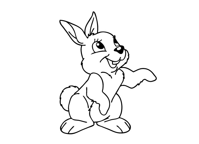 650x470 Rabbit Template