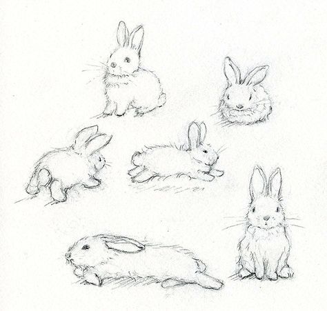 474x451 Adorable Art Learn How To Paint A Beautiful Bunny Rabbit
