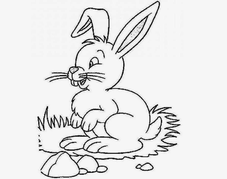 924x729 Colour Drawing Free Hd Wallpapers Rabbit For Kid Coloring Page