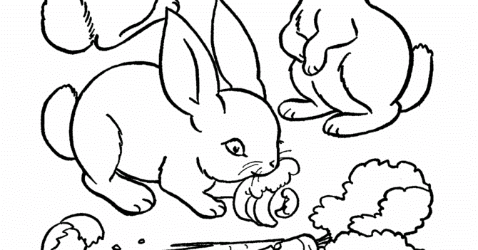 670x351 Cute Animal Rabbit Coloring Books Sheet For Kids Drawing Cartoon