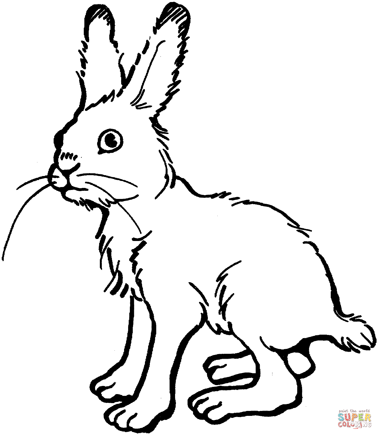 1304x1500 Rabbits Coloring Pages Free Coloring Pages