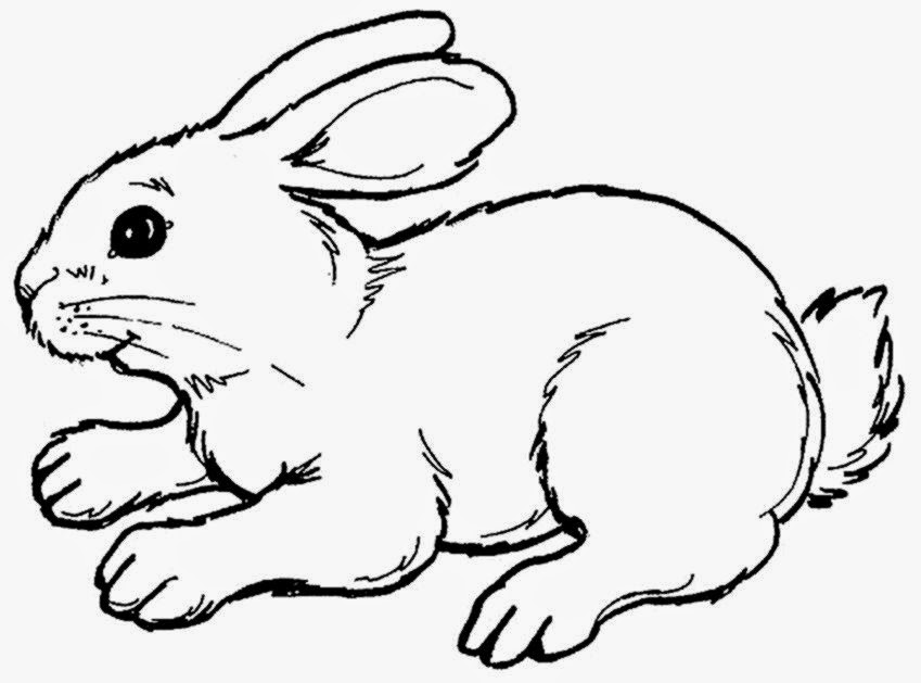 849x629 Coloring Picture Of Rabbit Free Coloring Pictures
