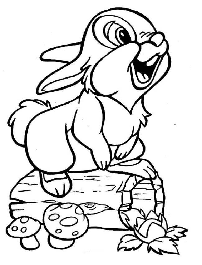 650x850 Rabbit Template