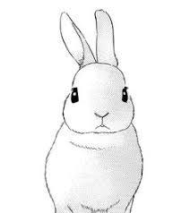 212x238 Image Result For Rabbit Outline Drawing Rabbits