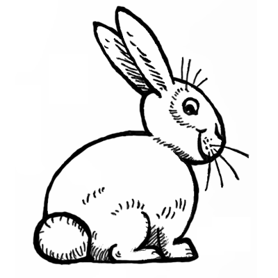 400x400 How To Draw Bunnies With Easy Bunny Rabbits Drawing Lesson