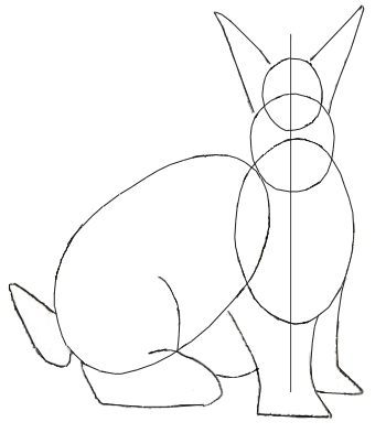 350x393 How To Draw A Rabbit
