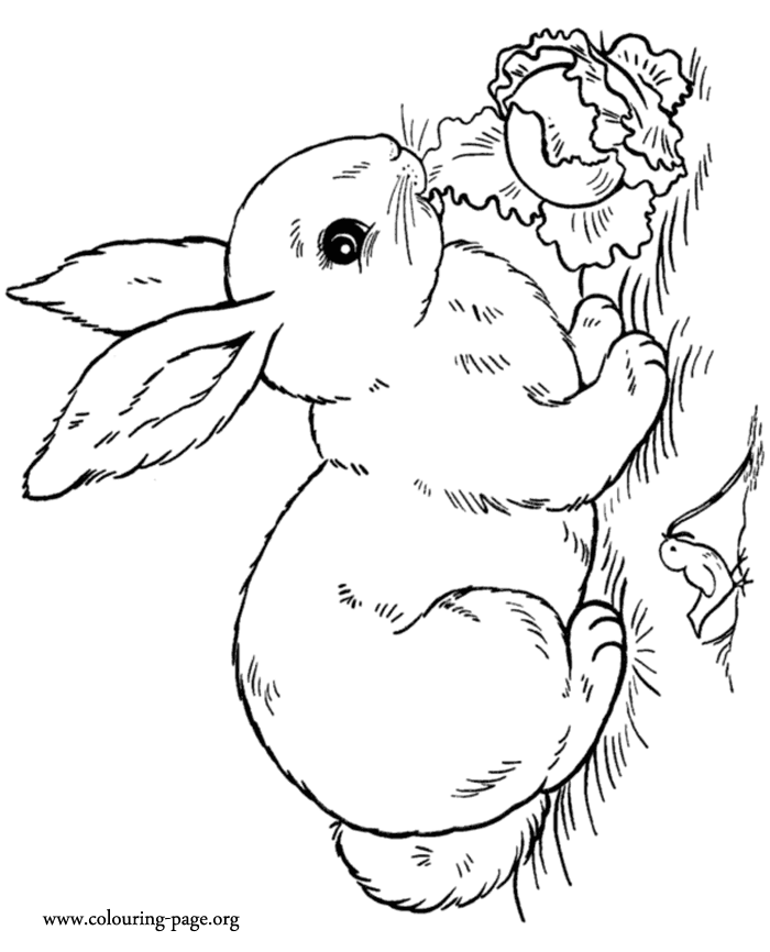 700x866 Drawing How To Draw A Cute And Easy Easter Bunny In Conjunction