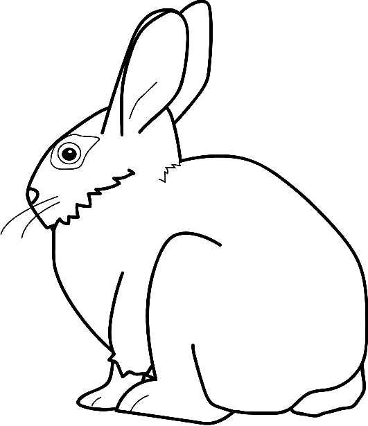 531x615 Coloring Rabbit Who Wants To Eat Carrots Picture